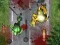 Spēle Sasist Zombijus online