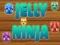 Spēle Želejas Ninja online