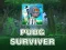 Spēle PUBG Izdzīvotājs online