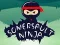Spēle Somersault Ninja online