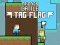Spēle Draugu Cīņa: Tagu Karogs online Spēle Draugu Cīņa: Tagu Karogs online