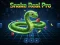 Spēle Snake Real Pro online