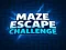 Spēle Maze Escape Challenge online