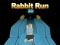 Spēle Rabbit Run 3D online