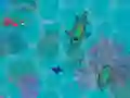 Spēle Sharkz.io online