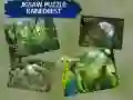Spēle Zīmju Mīkla Lietus Mežs online Spēle Zīmju Mīkla Lietus Mežs online