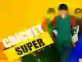 Spēle Super Krikets online