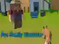 Spēle Lapsu ģimenes simulators online