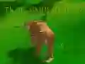 Spēle Tigra Simulator 3D online
