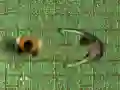 Spēle Inficēšanas Pāreja online