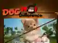 Spēle Suns Atrodi Atšķirības online Spēle Suns Atrodi Atšķirības online