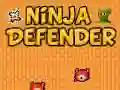 Spēle Ninja Aizsargs online Spēle Ninja Aizsargs online