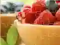Spēle FG Seta online Spēle FG Seta online