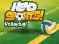 Spēle Volleyball no Head Sports online