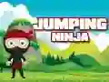 Spēle Lecco Ninja online Spēle Lecco Ninja online