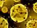 Spēle Koronavīrusa slīdne online Spēle Koronavīrusa slīdne online