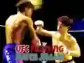 Spēle UFC Cīņš Puķe online