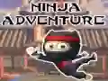 Spēle Ninja Piedzīvojums online Spēle Ninja Piedzīvojums online