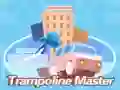 Spēle Trampolīna meistars online Spēle Trampolīna meistars online