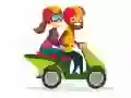 Spēle Motosikleti Atrodi Atšķirības online Spēle Motosikleti Atrodi Atšķirības online