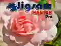 Spēle Mīklu Meistars Pro online