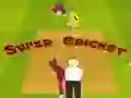 Spēle Super Krikets online Spēle Super Krikets online