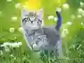 Spēle Kaķēnu puzle online