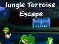 Spēle Tortu Pēdēšana no Džungļiem online Spēle Tortu Pēdēšana no Džungļiem online