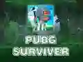 Spēle PUBG Izdzīvotājs online Spēle PUBG Izdzīvotājs online