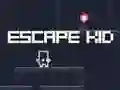 Spēle Aizbēgt Paslēpts online Spēle Aizbēgt Paslēpts online