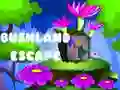 Spēle Bēgšana no krūmiem online Spēle Bēgšana no krūmiem online
