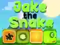 Spēle Jake Čūska online Spēle Jake Čūska online