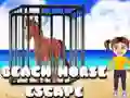 Spēle Pludmales zirga bēgšana online Spēle Pludmales zirga bēgšana online