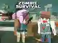 Spēle Zombiju izdzīvošana online Spēle Zombiju izdzīvošana online