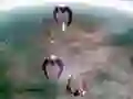 Spēle Scape Shotter online Spēle Scape Shotter online