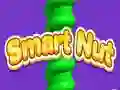 Spēle Gudrais Rieksts online Spēle Gudrais Rieksts online