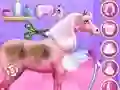 Spēle Princese zirgkopšana online