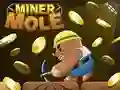 Spēle Raktuvju Kaza online Spēle Raktuvju Kaza online