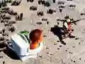 Spēle TopDown Skibidi Tualetes Šaušana online Spēle TopDown Skibidi Tualetes Šaušana online