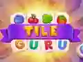 Spēle Flīžu Gūrs online