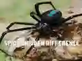 Spēle Pūce: Atrodi atšķirības online