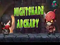 Spēle Nakts ēnas šaušana online