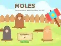 Spēle Siti kārni online Spēle Siti kārni online