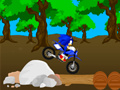 Spēle Krusta Sonic Sacīkste online