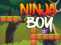 Spēle Ninja Zēns online
