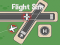 Spēle Lidojumu Simulator online