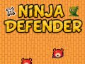 Spēle Ninja Aizsargs online