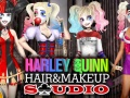 Spēle Harley Quinn Matu un Grima Studija online