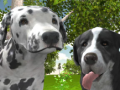 Spēle Suņu simulators 3D online