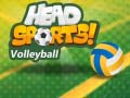 Spēle Volleyball no Head Sports online